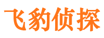 禹州市私家侦探